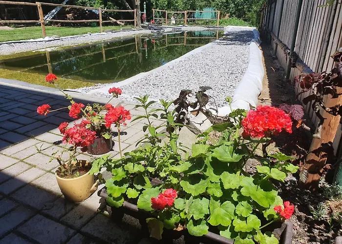 Apartament Svata Zdice